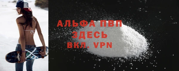 сатива Козловка