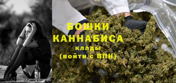 гидра Козельск