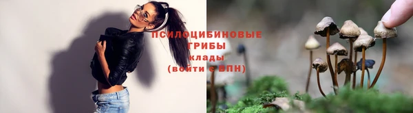 сатива Козловка