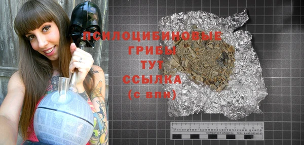 гидра Козельск