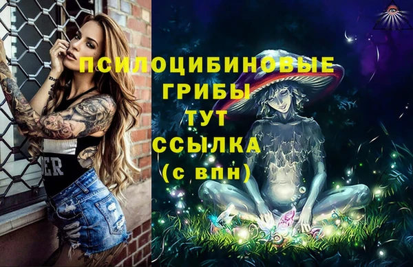 таблы Кодинск