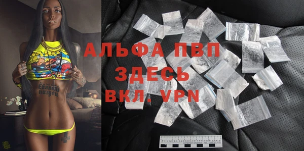сатива Козловка