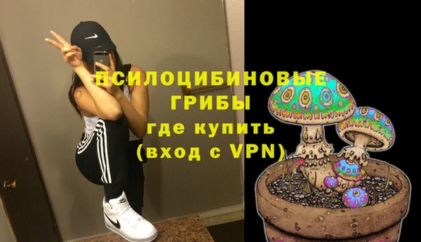 гидра Козельск