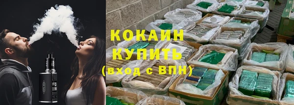 сатива Козловка