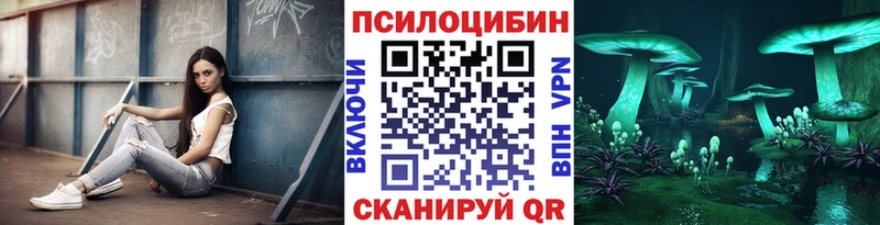 Галлюциногенные грибы Psilocybine cubensis  Хасавюрт 