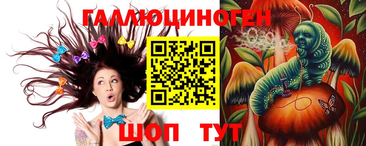 Псилоцибиновые грибы MAGIC MUSHROOMS  Псилоцибиновые грибы прущие грибы  Вход с VPN  Хасавюрт 