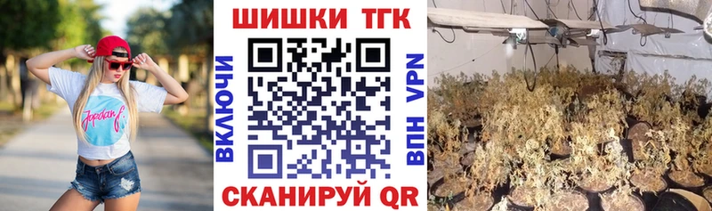 OMG маркетплейс  цена   Хасавюрт  Бошки Шишки сатива 